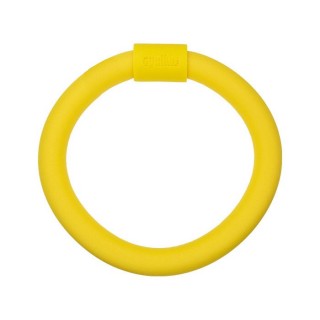 Pool Noodle Ring